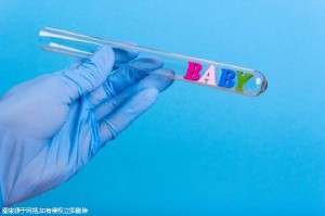单身同志供卵公司